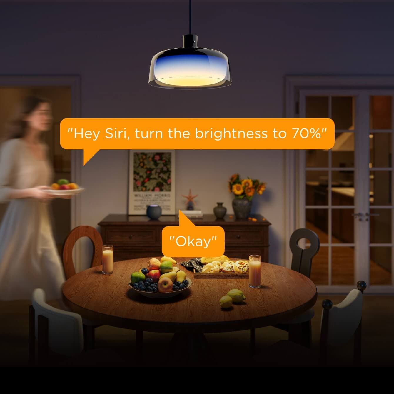 Govee Pendant Light app and voice smart control detail